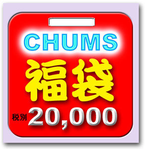 2015-chu-20f-s